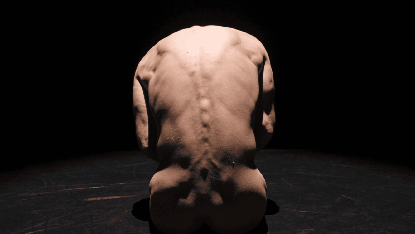 Photo de dos de l'artiste dos nu.