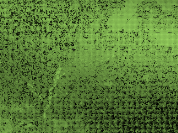 Fond vert avec des point noir un peu partout.