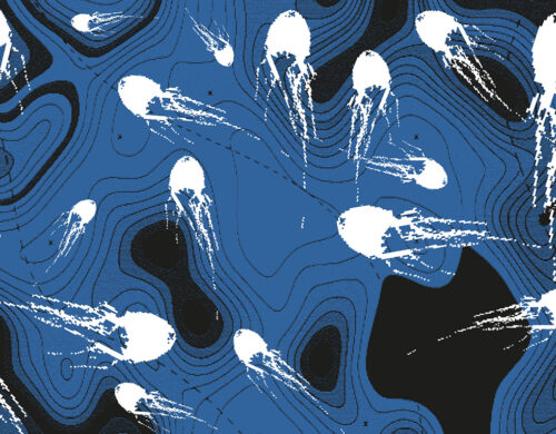 Fond bleu foncé fait de cercles et d'ondulations. Des méduses blanches sont disposées un peu partout.