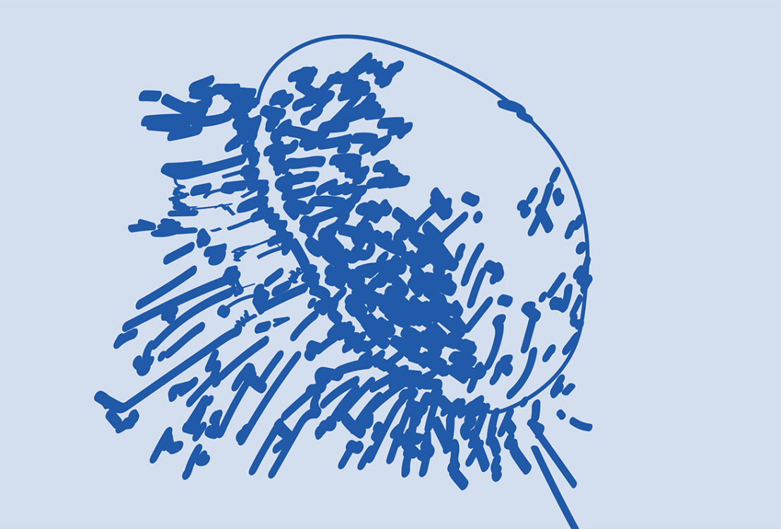 Méduse bleu foncé sur fond bleu clair.