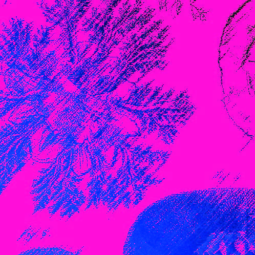 Fond rose fushia avec en bleu foncé un plan serré d'une plante.