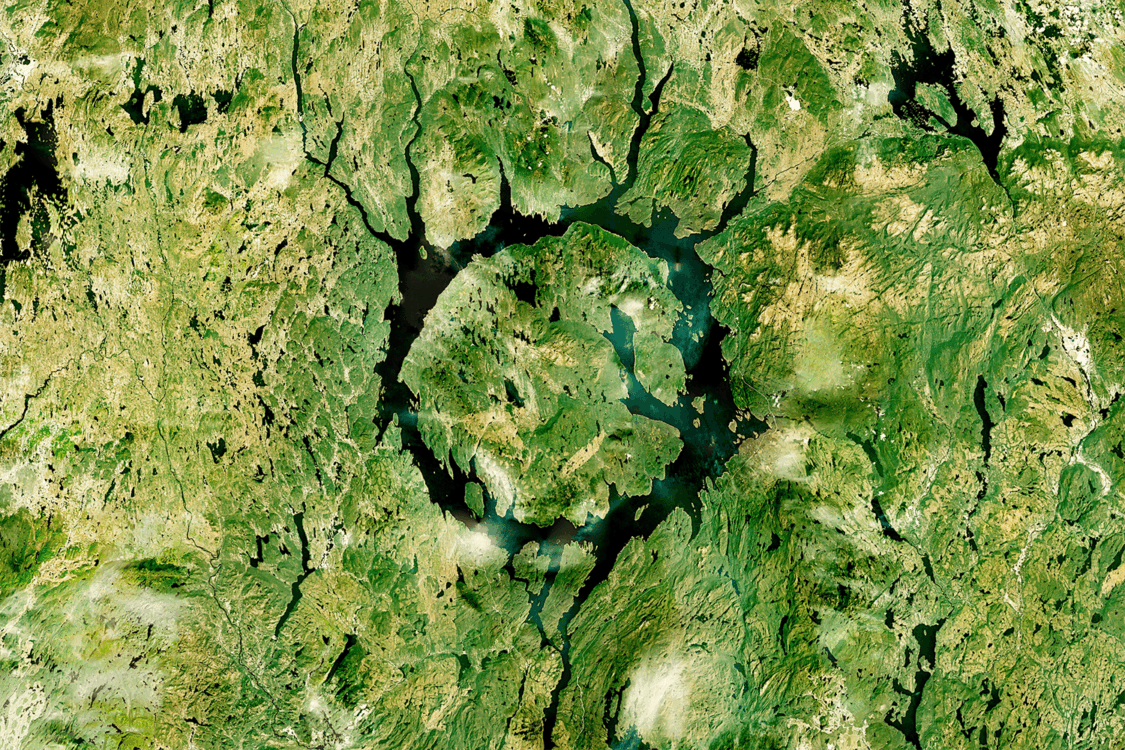 Photographie de nature pris par l'artiste Paul Duncombe.